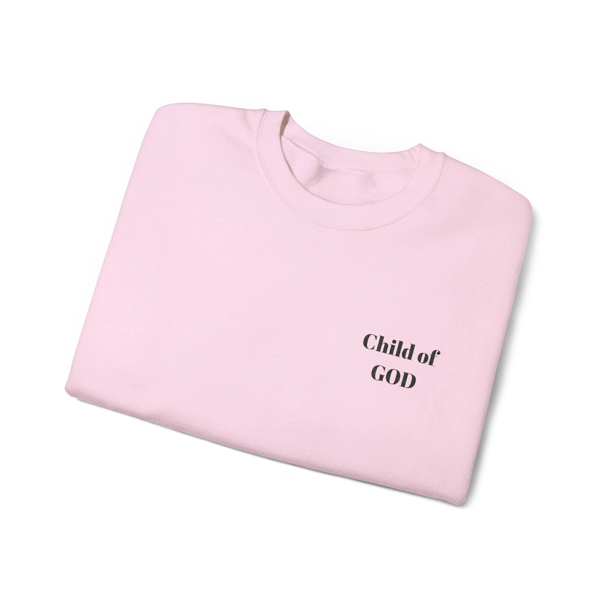 Christian Bible Truth Crewneck Sweatshirt