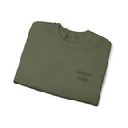 Bible truth sweatshirt worn model front, Christian faith apparel