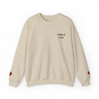 Faith Bible truth sweatshirt back view, Christian women's apparel
