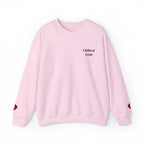 Christian Bible truth sweatshirt lifestyle, women's faith top