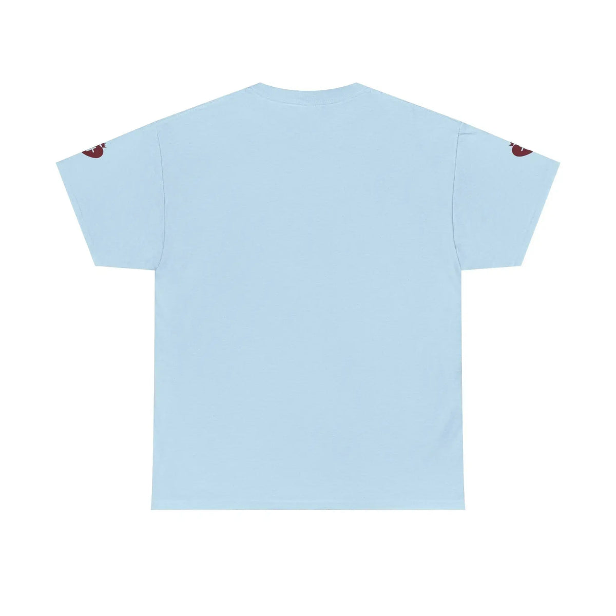 JESUS heavy cotton tee detail final shot, Christian declaration
