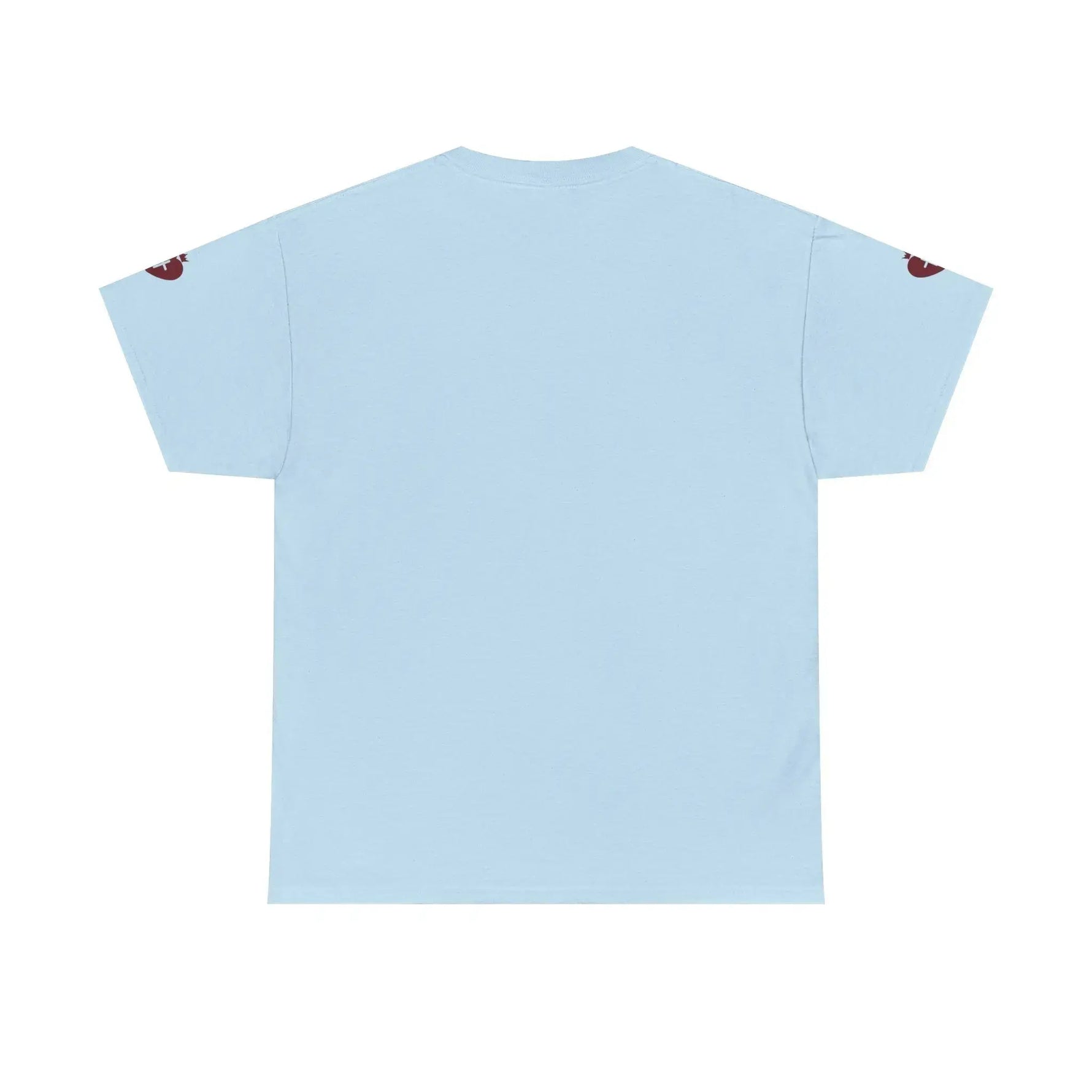 JESUS heavy cotton tee detail final shot, Christian declaration